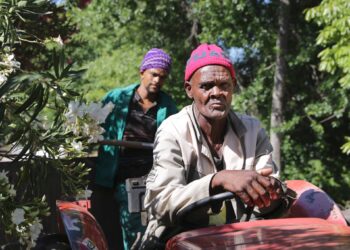 At Koopmanskloof Winery, farmworkers and management engaged through Fairtrade Africa’s DONUTS wine programme, showing how dialogue and collaboration can transform vineyard labour relations. Photo: Supplied/Koopmanskloof
