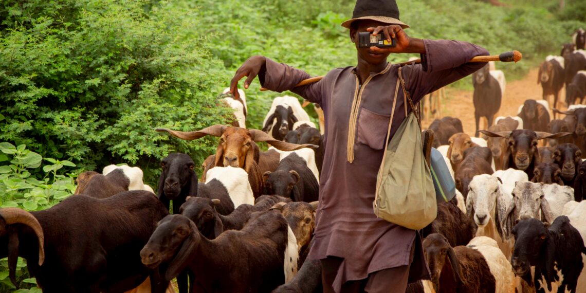 From Kenya to South Sudan, pastoralists are using digital tools, traditional knowledge and local cooperation to manage scarce resources and strengthen resilience. Photo: Ansar Photography/Pexels