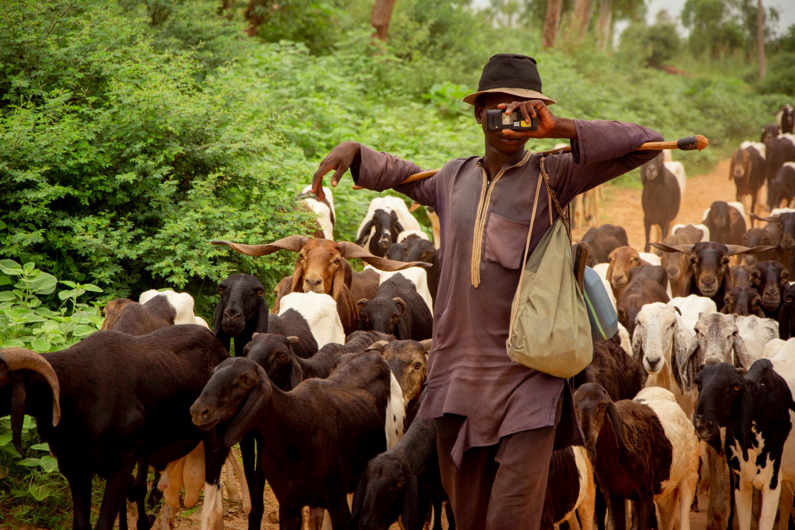 How pastoralists are redefining survival in Africa’s drylands