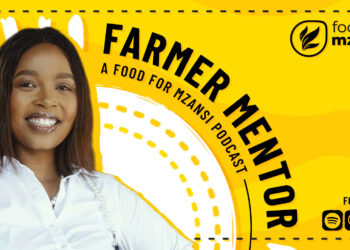 A resilient leader in a male-dominated industry, Lerato Aliu is reshaping her family’s poultry enterprise through innovation, care-driven management, and a commitment to building a lasting legacy. Photo: Gareth Davies/Food For Mzansi