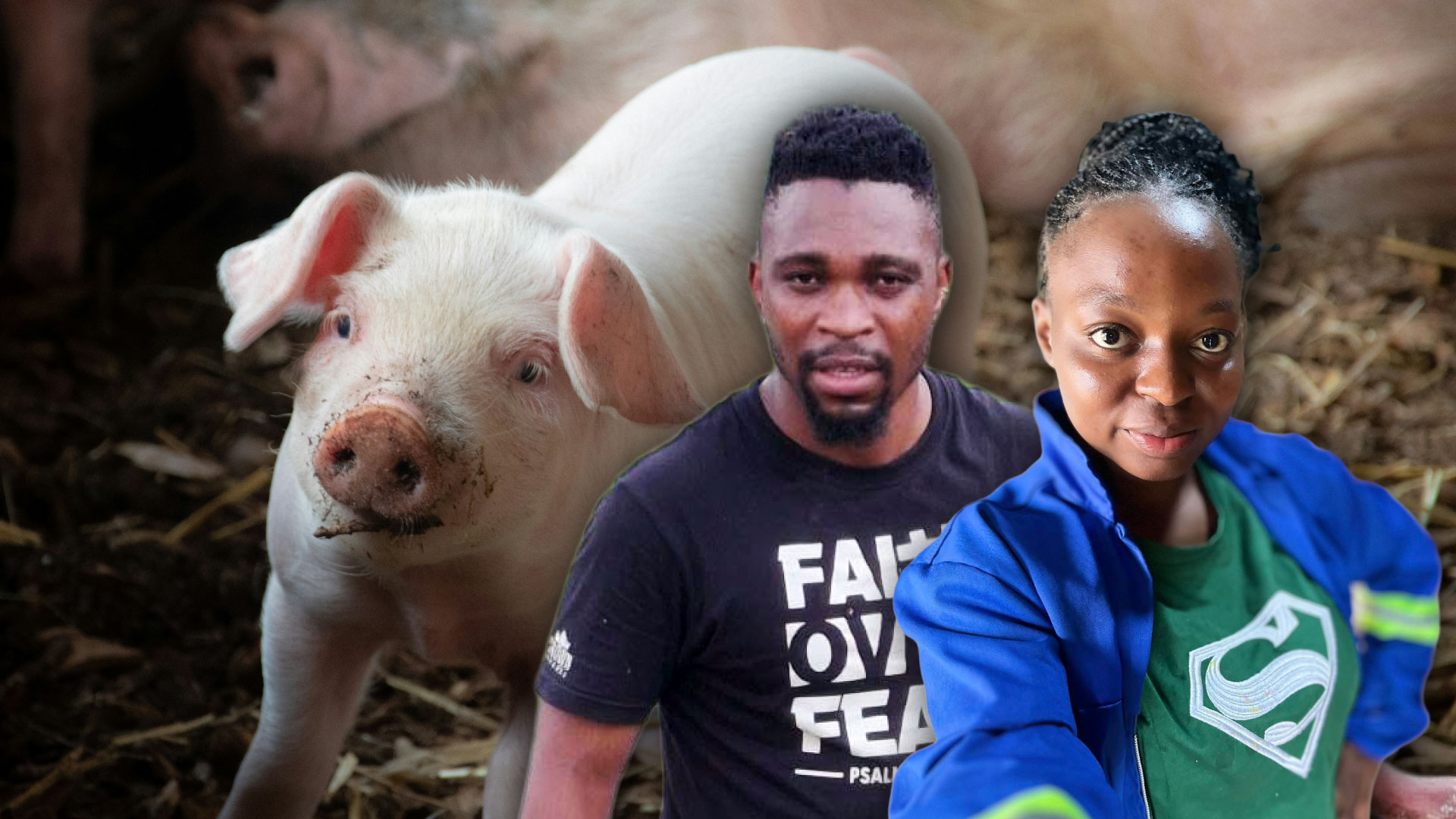 Seeds of love: Limpopo couple’s farming journey takes root
