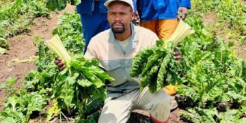 After losing his job in 2020, Mpumalanga’s Njabulo Mabaso turned backyard farming into Yamhlamba, a thriving agribusiness feeding families and inspiring others. Photo: Supplied/Food For Mzansi
