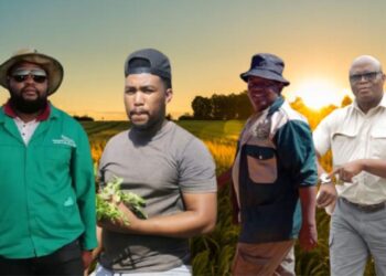 Farmers are ready for 2026 and optimistic about opportunities the new year might bring. Photo: Gareth Davies/Food For Mzansi