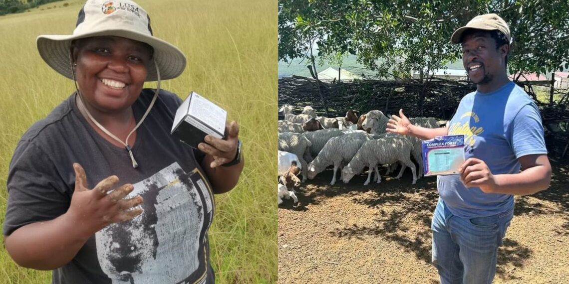 Phelisa Ndayi and Lubabalo Bunu were moved by the suffering of livestock affected by ticks and started their agribusiness, Lusa Agric Supplies, based in Butterworth, Eastern Cape. Photos: Supplied/Food For Mzansi
