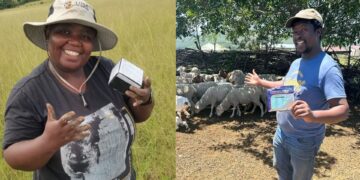Phelisa Ndayi and Lubabalo Bunu were moved by the suffering of livestock affected by ticks and started their agribusiness, Lusa Agric Supplies, based in Butterworth, Eastern Cape. Photos: Supplied/Food For Mzansi