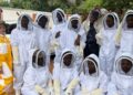 Rural youth in the North West are gaining hands-on beekeeping skills through NARYSEC, turning their passion for apiculture into sustainable livelihoods and community development. Photo: Supplied/Food For Mzansi