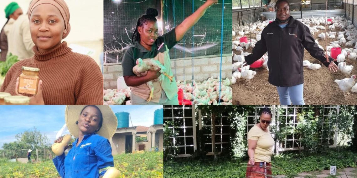 From backyard patches to poultry empires, South Africa’s farmers are redefining resilience. These stories of grit and innovation showcase the heartbeat of our food systems. Photos: Supplied/Food For Mzansi