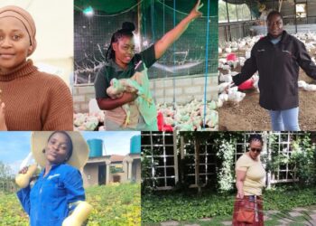 From backyard patches to poultry empires, South Africa’s farmers are redefining resilience. These stories of grit and innovation showcase the heartbeat of our food systems. Photos: Supplied/Food For Mzansi