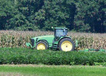 As carbon markets begin to take shape in South Africa, carbon credit programmes are emerging as a practical support mechanism that enables farmers to adopt improved practices, build soil carbon, manage climate risk and unlock long-term value for both their businesses and the environment. Photo: Pexels