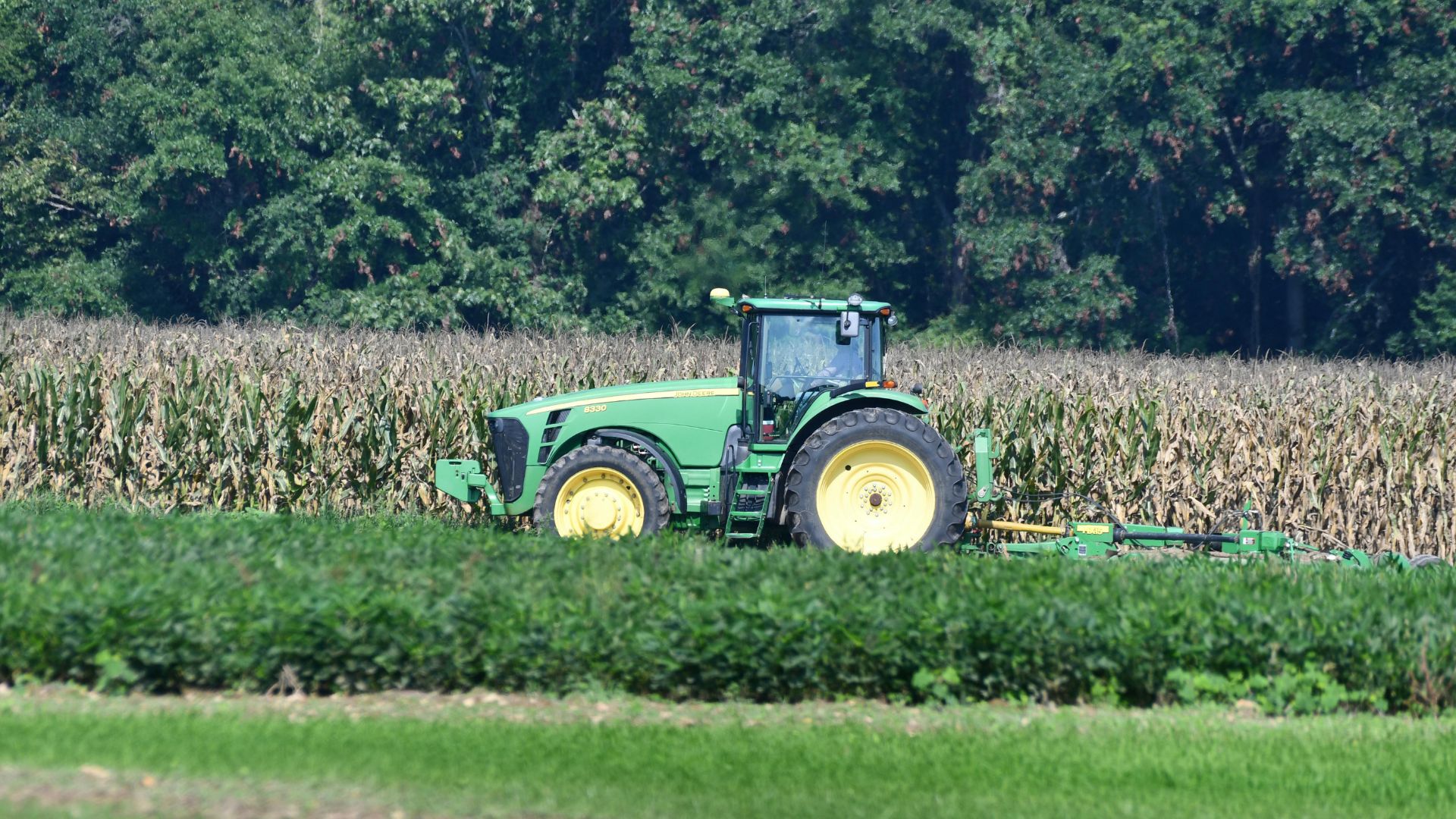 Carbon credits 101: A guide to regenerative farming & income