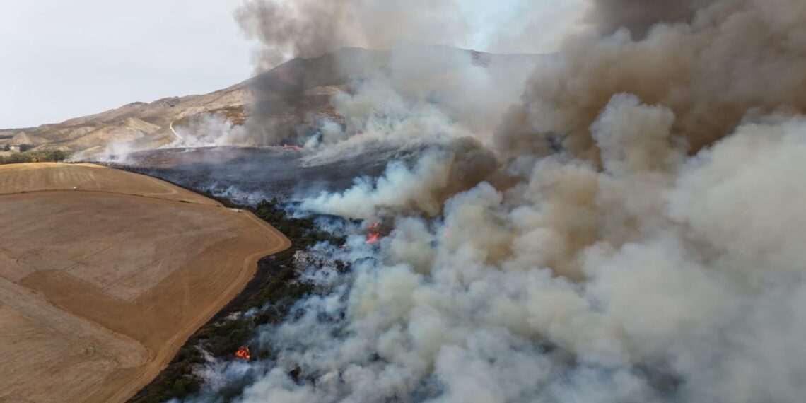 Some of the land in the Overstrand Municipality has been destroyed by wildfires. Photo: Overstrand Municipality