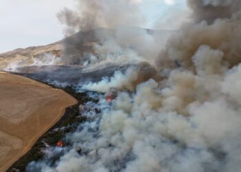 Some of the land in the Overstrand Municipality has been destroyed by wildfires. Photo: Overstrand Municipality