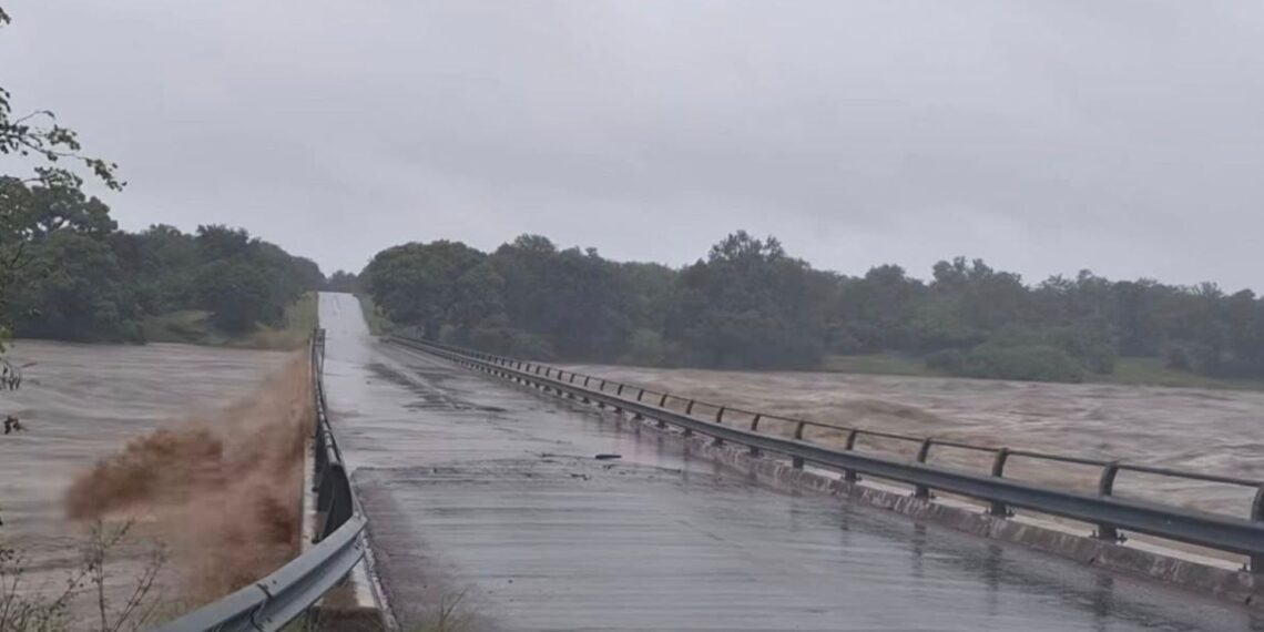 As climate change takes centre stage, one of the events to look out for is the International Conference on Climate Change. Photo: Supplied/Food For Mzansi