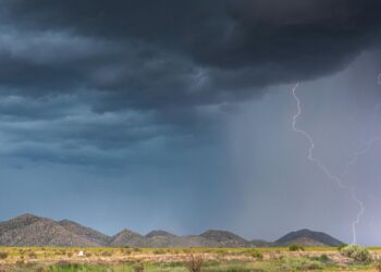Cautious optimism greets South African farmers in 2026 as forecasts of a weak La Niña and above-normal rainfall promise benefits for crops, livestock, and horticulture, while farmers are urged to manage risks and follow early-warning guidance. Photo: Pexels