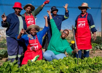 Shoprite’s Act For Change programme supports school and community food gardens across South Africa, improving child nutrition, food security, and sustainable local livelihoods. Photo: Shoprite