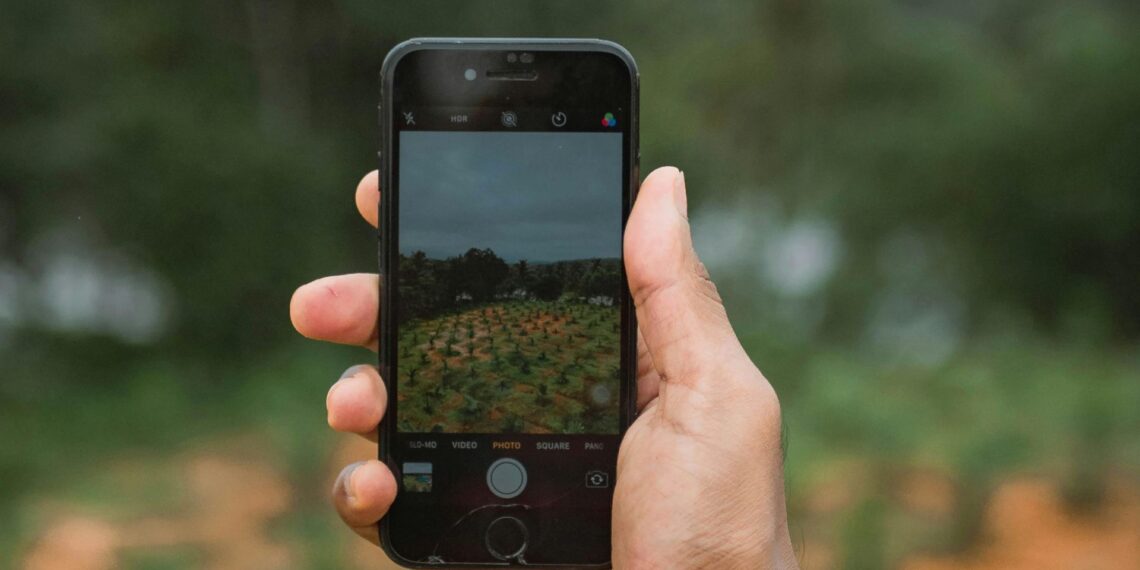 South African farmers, from smallholders to commercial producers, are increasingly using artificial intelligence to improve productivity, manage resources more efficiently, and for funding applications. Photo: Pexels