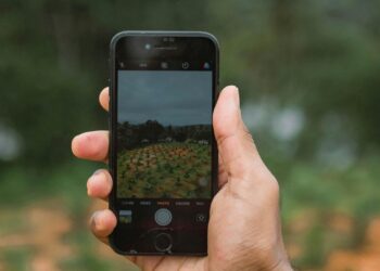 South African farmers, from smallholders to commercial producers, are increasingly using artificial intelligence to improve productivity, manage resources more efficiently, and for funding applications. Photo: Pexels