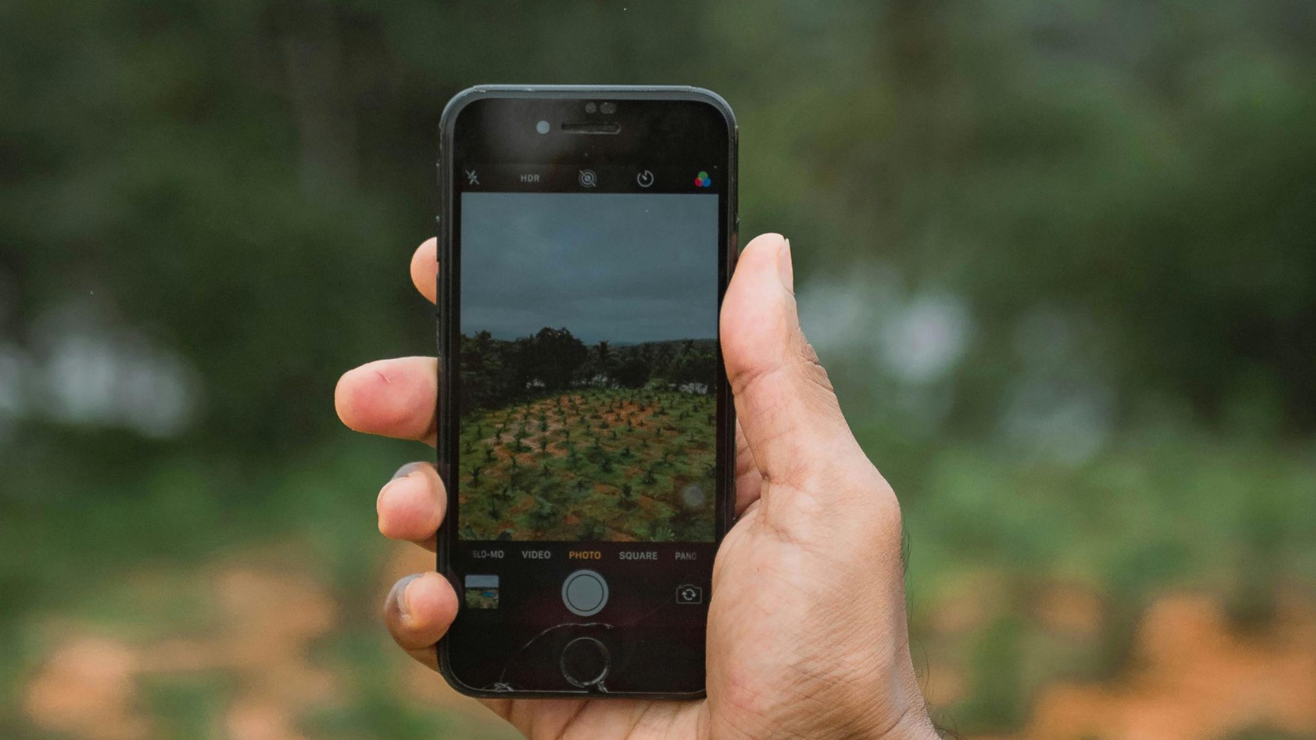How South African farmers use AI to boost productivity