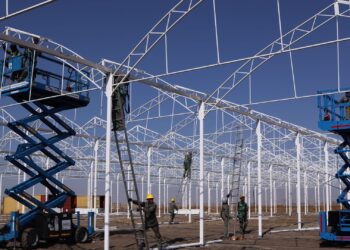 Eskom and the Netherlands launch the Grootvlei Climate Smart Horticulture Centre in Mpumalanga, linking clean energy, climate-smart farming, and skills development. Photo: Supplied/Food For Mzansi