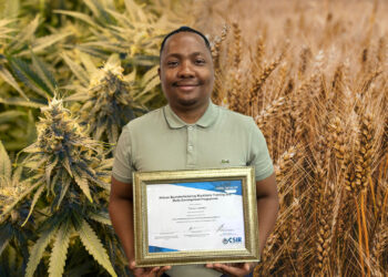 Dr Tshepo Lechaba, a researcher in the Pharmaceutical and Biotech Advancement in Africa (PBAA) group at TUT’s department of pharmaceutical sciences. Photo: Gareth Davies/Food For Mzansi