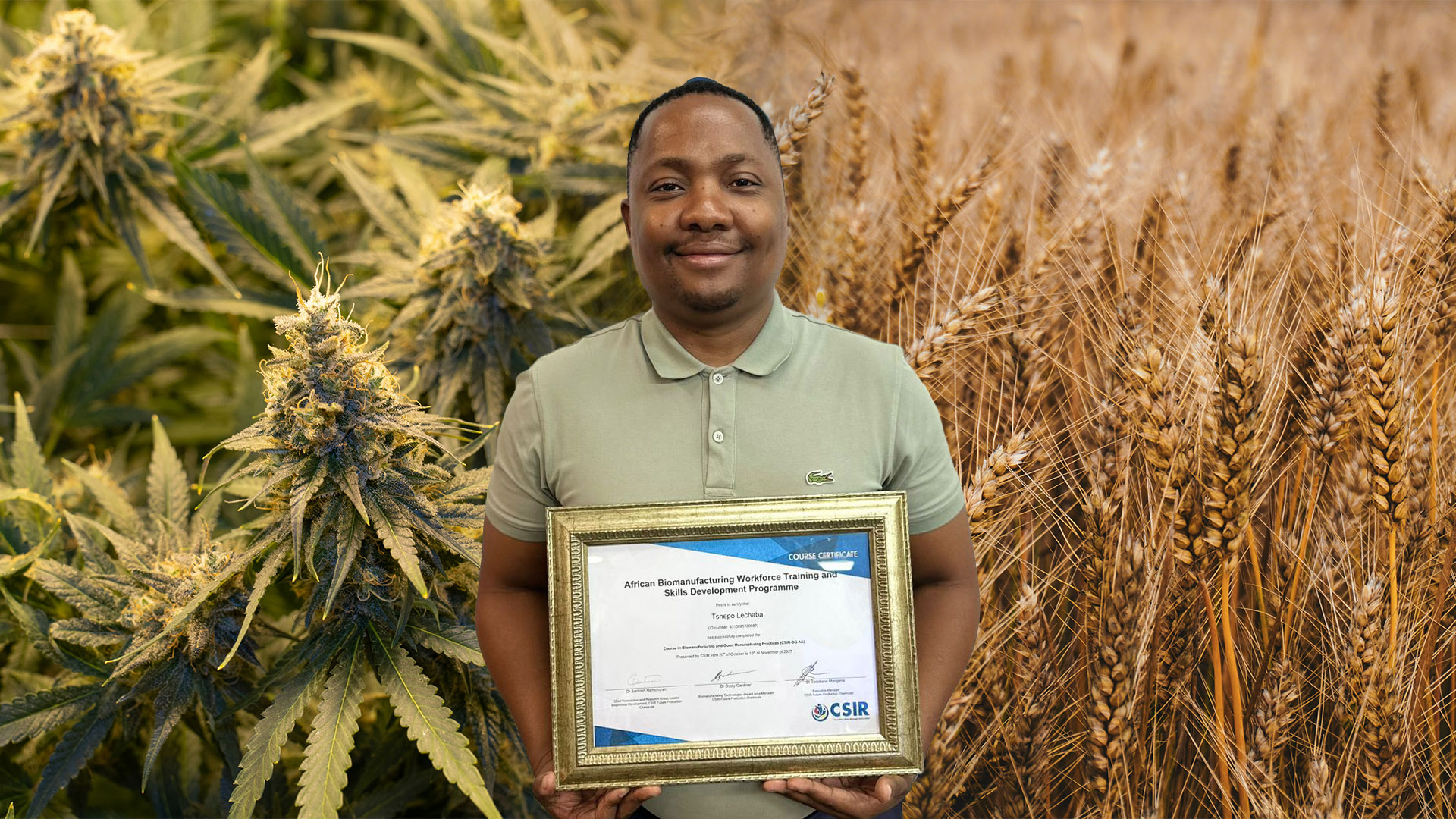 Homegrown: TUT turns traditional grains into modern medicine