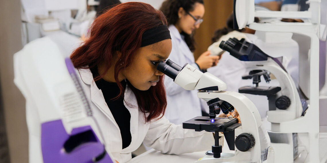 Agricultural students are urged to choose career paths that will lead them to better work opportunities. Photo: Supplied/Food For Mzansi