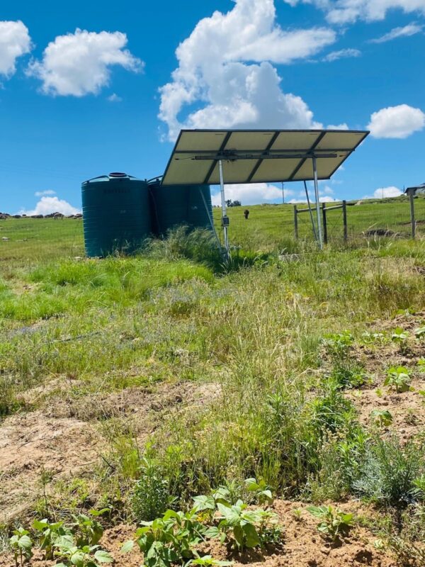 Solar‑powered water system supplying reliable water to the fields. Photo: Supplied/Glen Mendi