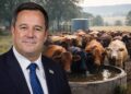 Agriculture minister John Steenhuisen. Design: Food For Mzansi