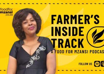 From childhood exposure to livestock to leading a multi-breed meat operation in the Eastern Cape, Pholisa Bidla’s story highlights resilience, learning and community as the foundations of sustainable farming. Photo: Gareth Davies/Food For Mzansi