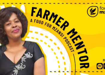 From childhood exposure to livestock to leading a multi-breed meat operation in the Eastern Cape, Pholisa Bidla’s story highlights resilience, learning and community as the foundations of sustainable farming. Photo: Gareth Davies/Food For Mzansi