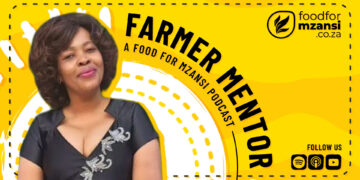 From childhood exposure to livestock to leading a multi-breed meat operation in the Eastern Cape, Pholisa Bidla’s story highlights resilience, learning and community as the foundations of sustainable farming. Photo: Gareth Davies/Food For Mzansi