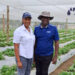 Drip irrigation: A game-changer for Zambian horticulture