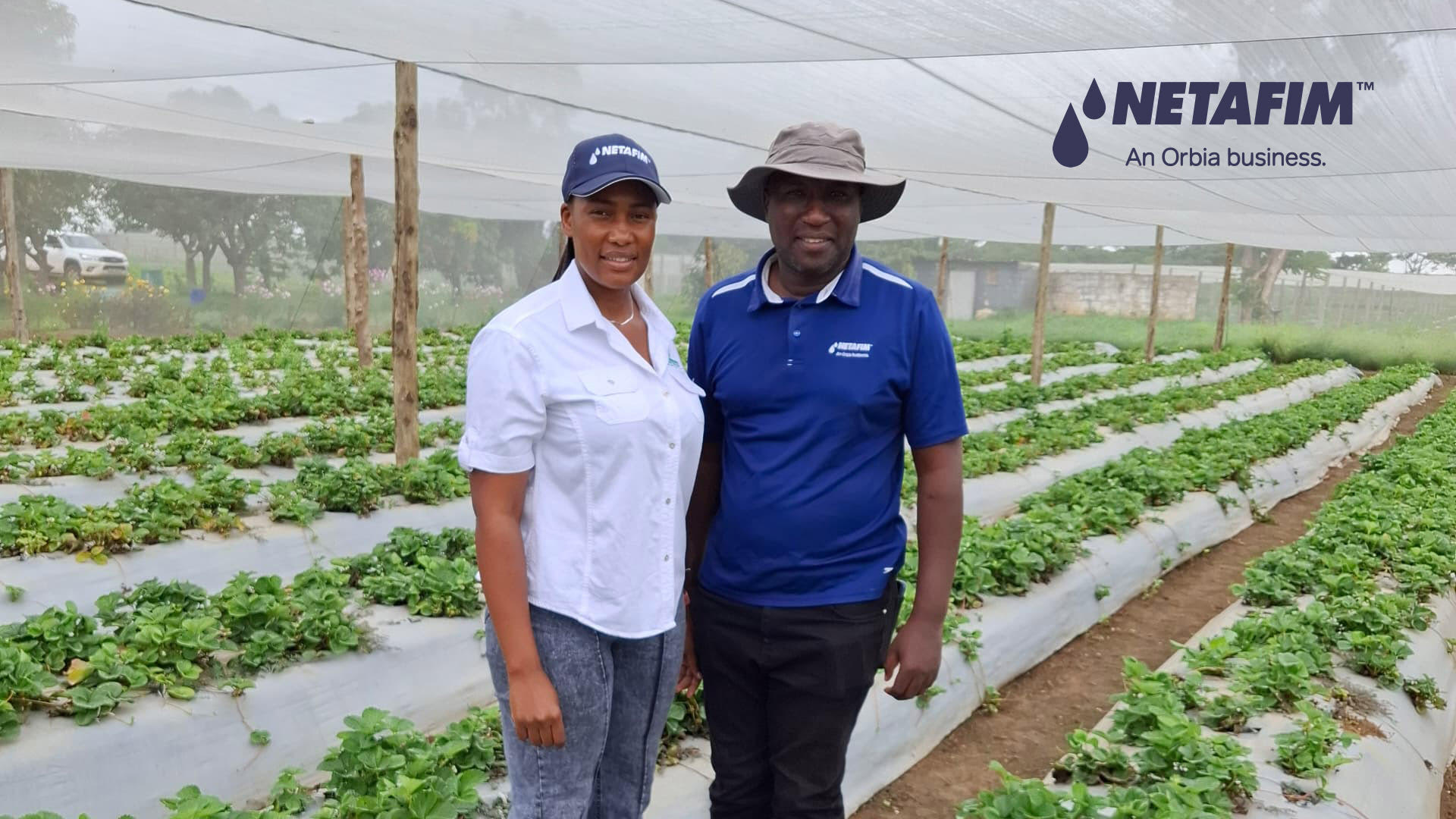 Drip irrigation: A game-changer for Zambian horticulture