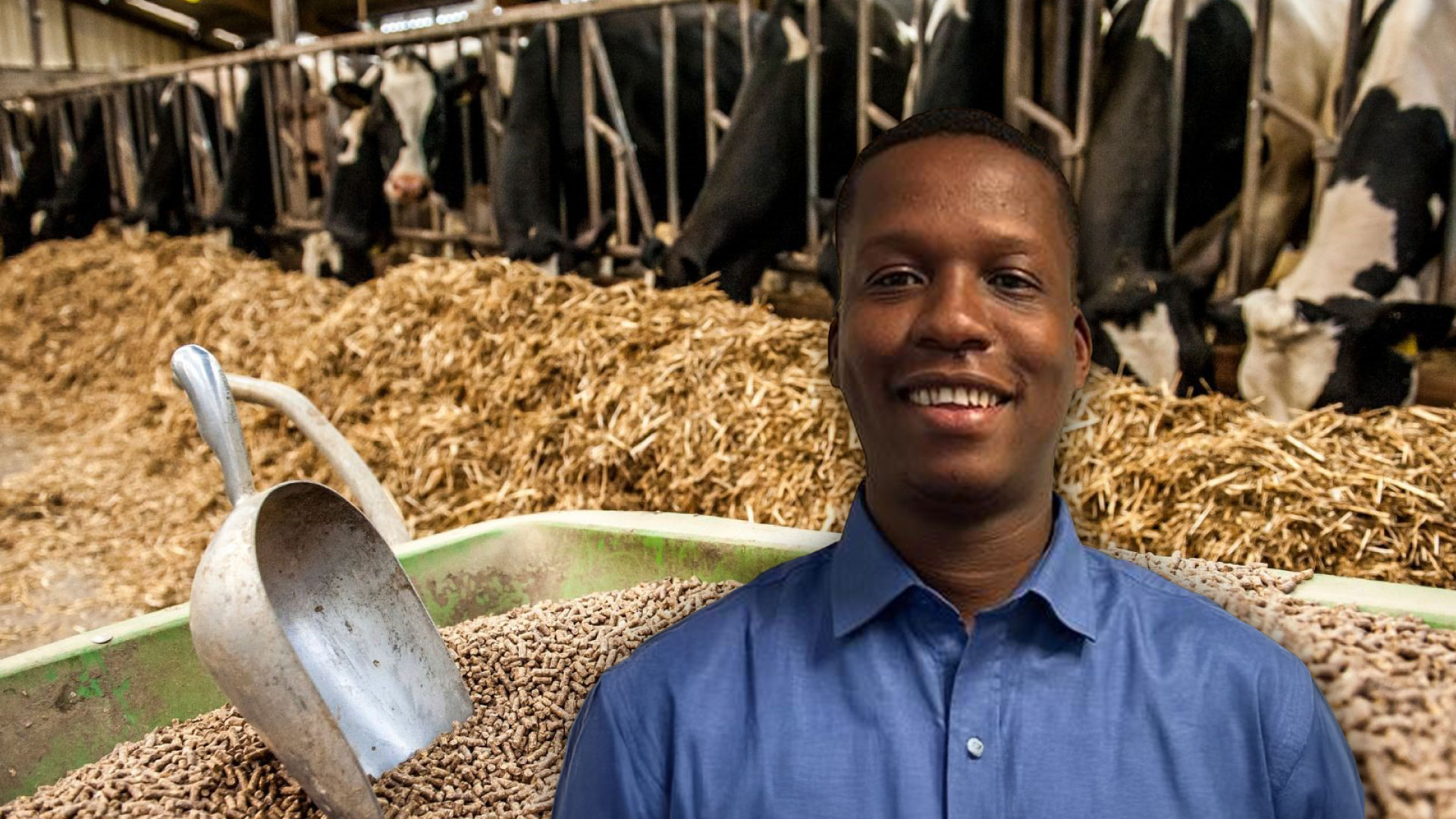 Why a JSE soymeal contract is critical for South African feed