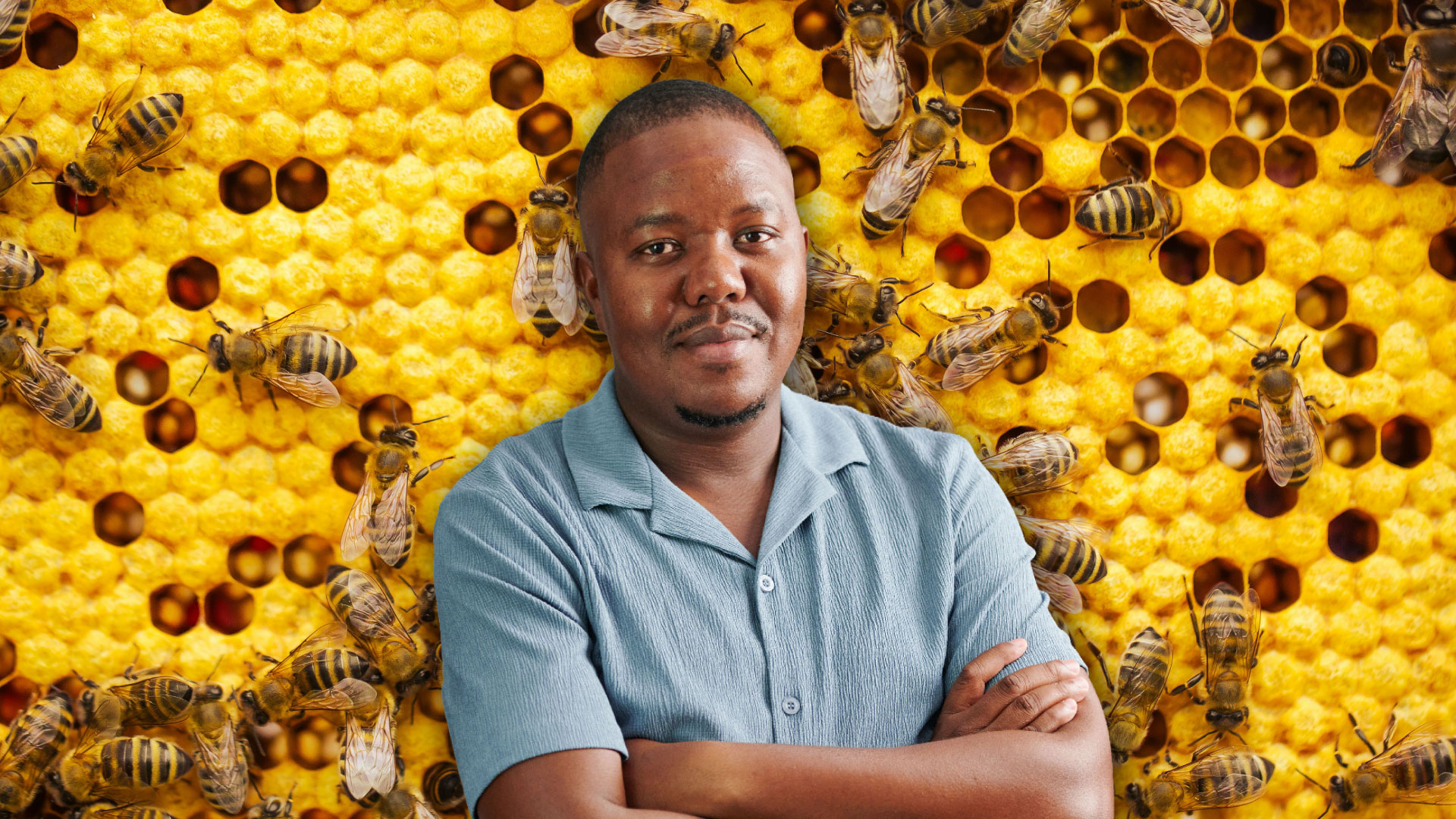 Why South Africa needs to invest in small-scale beekeepers