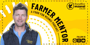 Award-winning KZN dairy farmer Dale Hutton shares how his journey from environmental science and global travel back to the family farm has shaped a pasture-based, data-driven dairy operation. Photo: Gareth Davies/Food For Mzansi