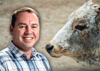 Dr Frikkie Maré is the CEO of the Red Meat Producers Organisation (RPO). Photo: Gareth Davies/Food For Mzansi