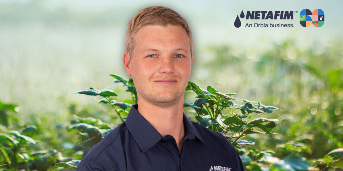 Zimbabwe’s expanding blueberry industry is leveraging high-altitude conditions and precision drip irrigation to supply premium export markets during a lucrative global off-season window. Photo: Gareth Davies/Food For Mzansi