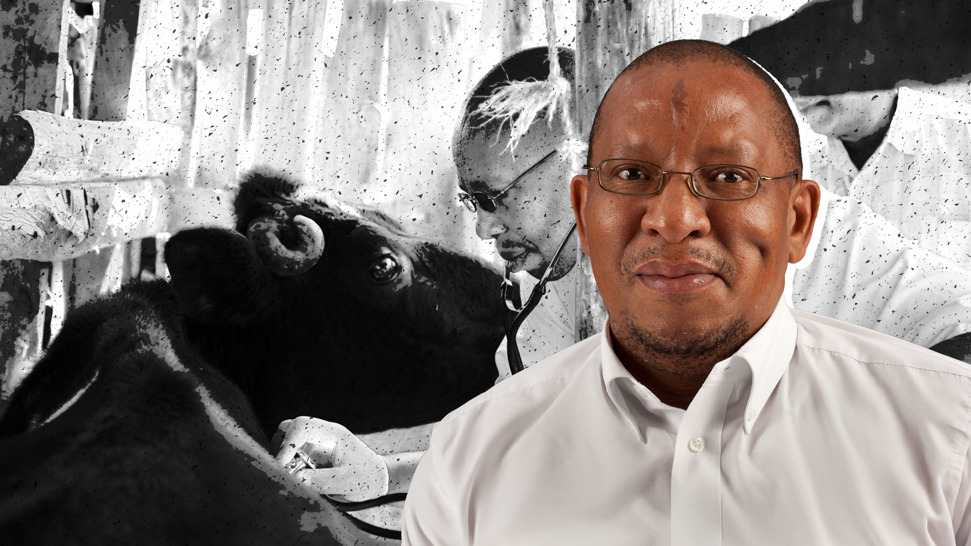 South Africa’s FMD crisis exposes veterinary system failures