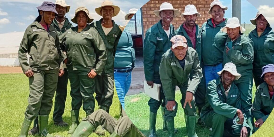 Deelpan farmers thriving in their SEF-funded project. Photo: Supplied/Food For Mzansi