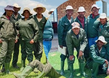 Deelpan farmers thriving in their SEF-funded project. Photo: Supplied/Food For Mzansi