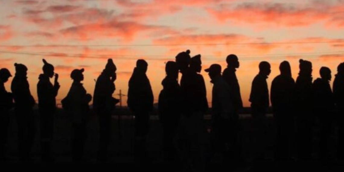 While the unemployment rate has dropped, farmers say it is a drop in the ocean in dealing with the unemployment crisis. Photo: Supplied/Food For Mzansi