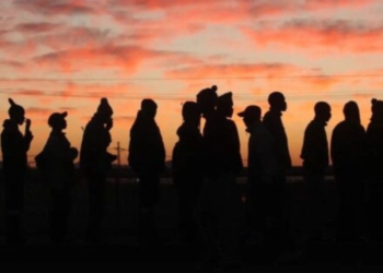 Agri jobs rise, yet small-scale farmers still struggle