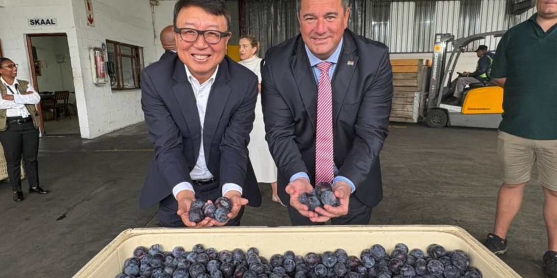 Minister of agriculture, John Steenhuisen, accompanied by ambassador Wu Peng of the People’s Republic of China, at the Freshness First Pack-house in Franschhoek. Photo: Tru-Cape
