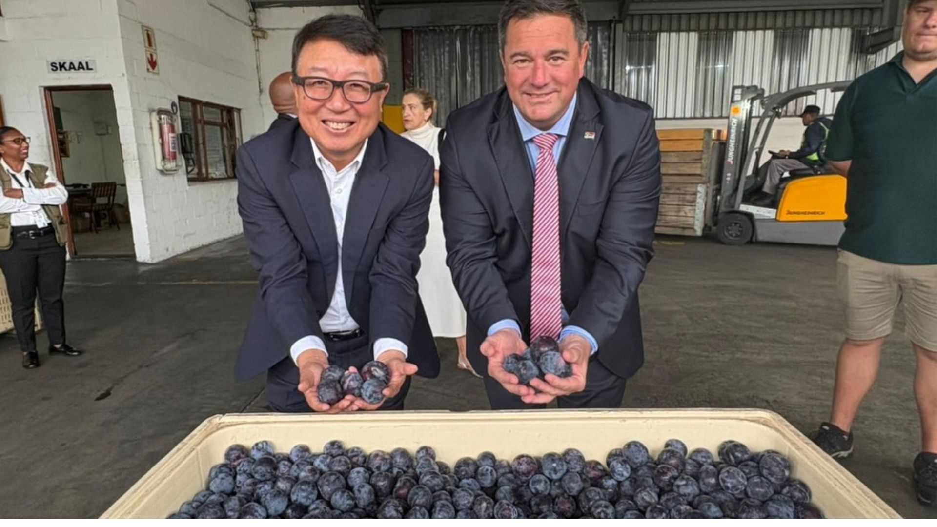 China tariff cuts to boost SA apple and pear exports