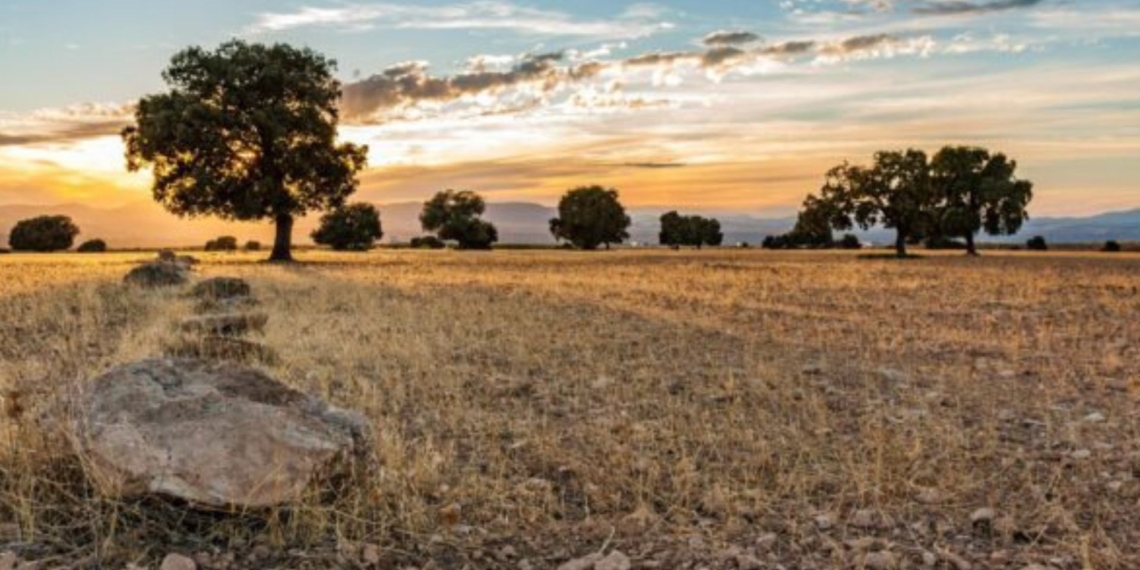 Restoring land is only the beginning. Successful land reform requires a shift from benevolence to strategic investment. Photo: Supplied/Food For Mzansi