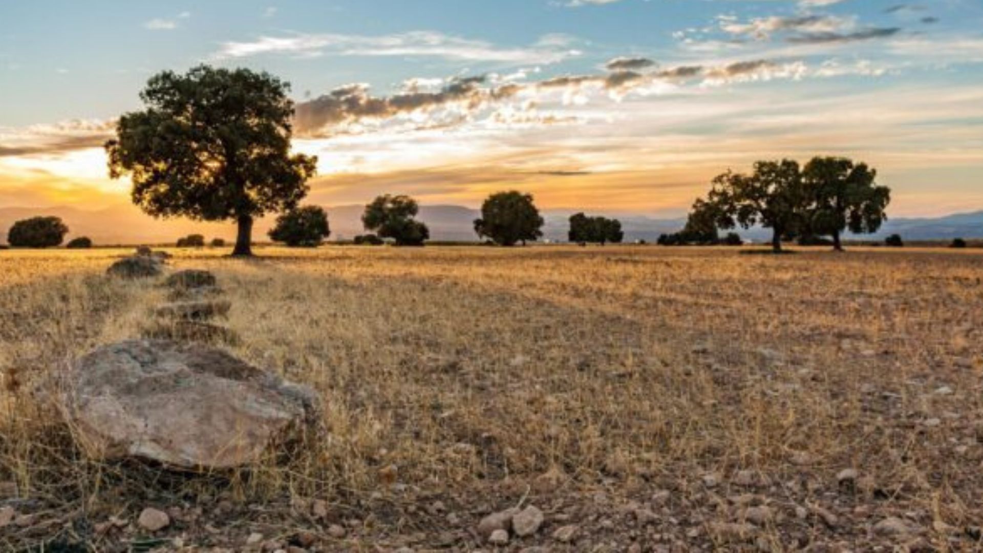 Land reform: How the private sector can bridge the funding gap