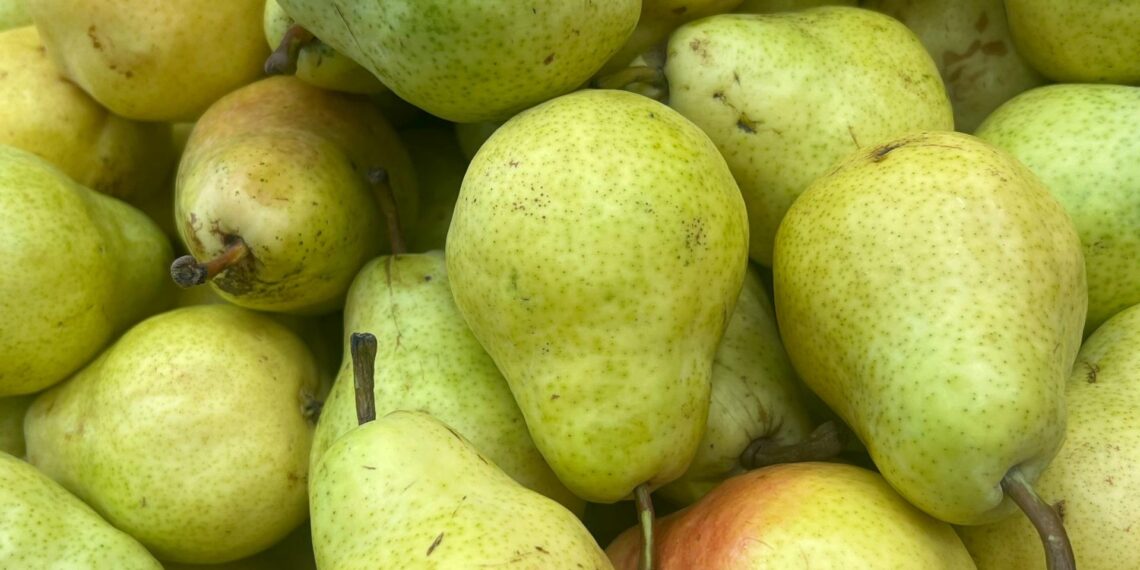 An early start to South Africa’s apple and pear season, driven by warm, dry conditions, promises good-quality fruit and strong international demand. Photo: Pexels