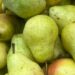 Early apple and pear harvest brings promise and pressure