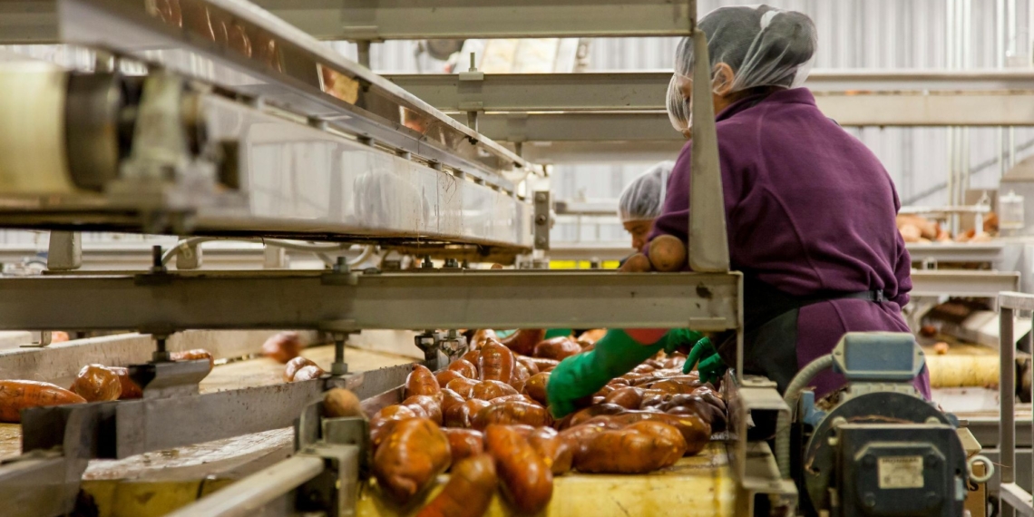 Agro-processing can boost farm income and resilience, but success depends on strict food safety, proper testing and full compliance. Photo: Pexels